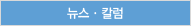 뉴스˚칼럼