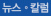 뉴스˚칼럼
